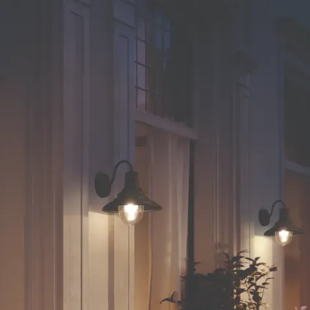 Philips Cormorant Wall Light 17381