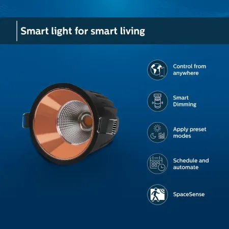 Philips Smart WiFi Deco LED COB light
